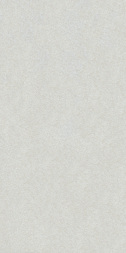 Gạch Taicera PARKWAY Series 60X30CM G63025