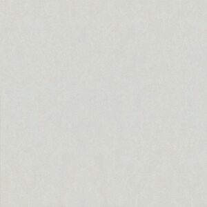 Gạch Taicera PARKWAY Series 60X60CM G68025