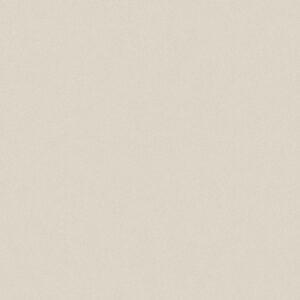 Gạch Taicera HOVE Series 60X60CM G68034