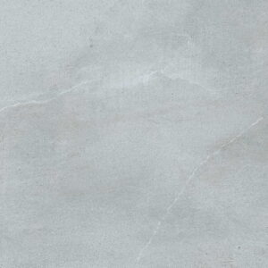 Gạch Taicera PRAISE Series 60X60cm G6878M2