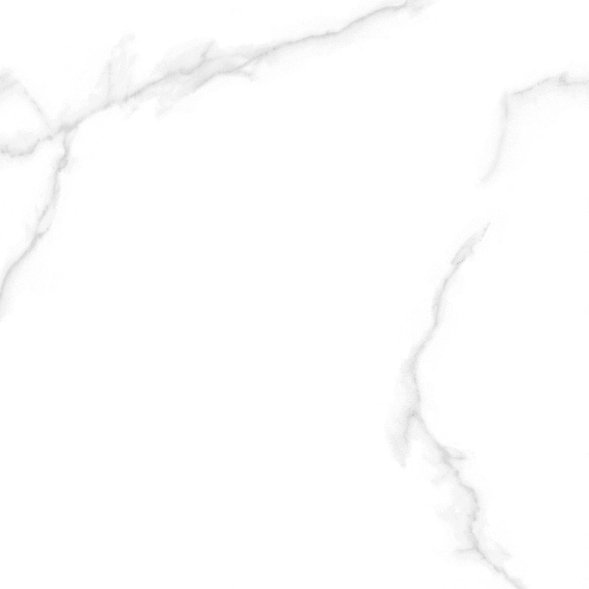 Gạch Taicera CARRARA Series 60X60CM G68945 - Ảnh 2