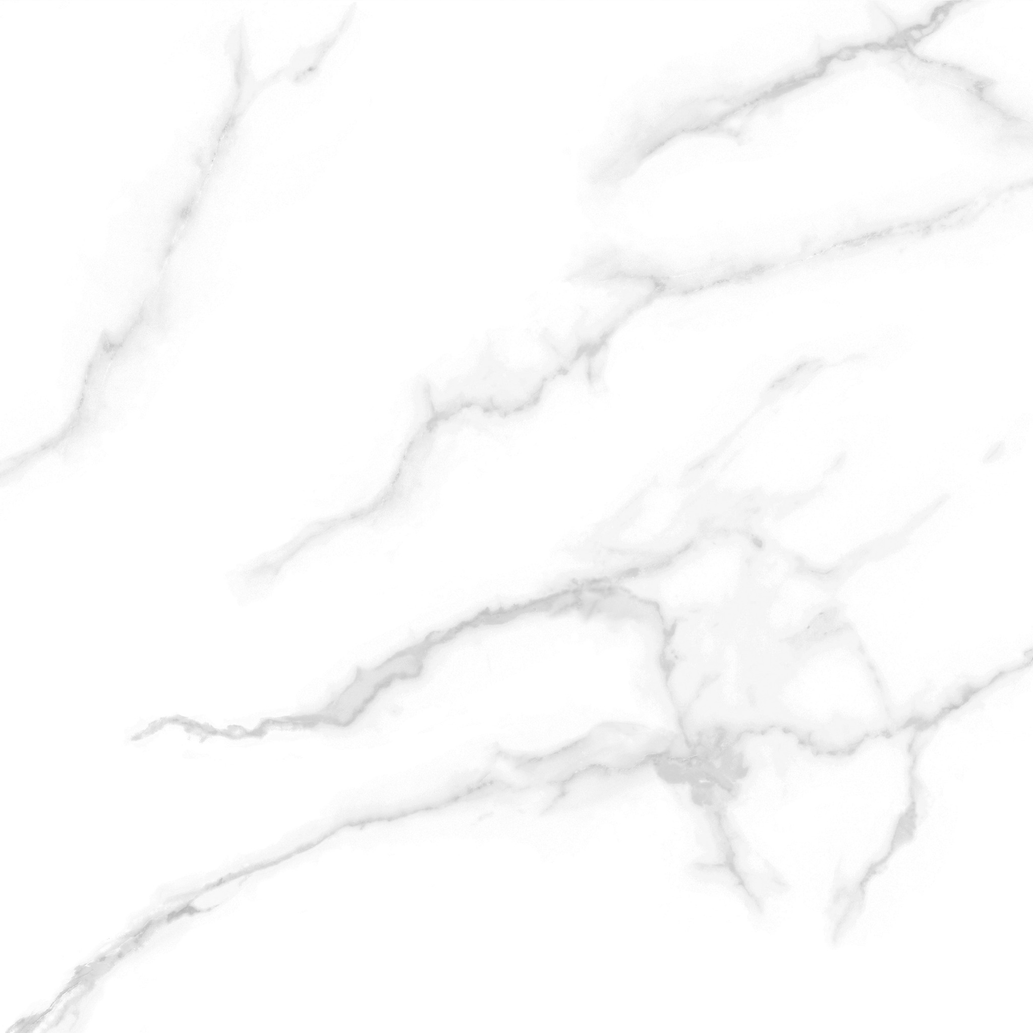 Gạch Taicera CARRARA Series 60X60CM G68945 - Ảnh 4