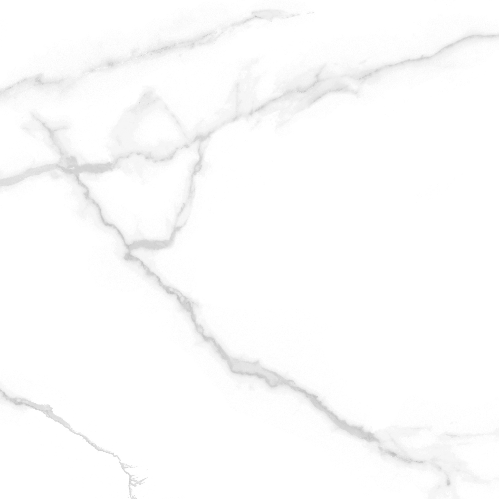 Gạch Taicera CARRARA Series 60X60CM G68945 - Ảnh 5