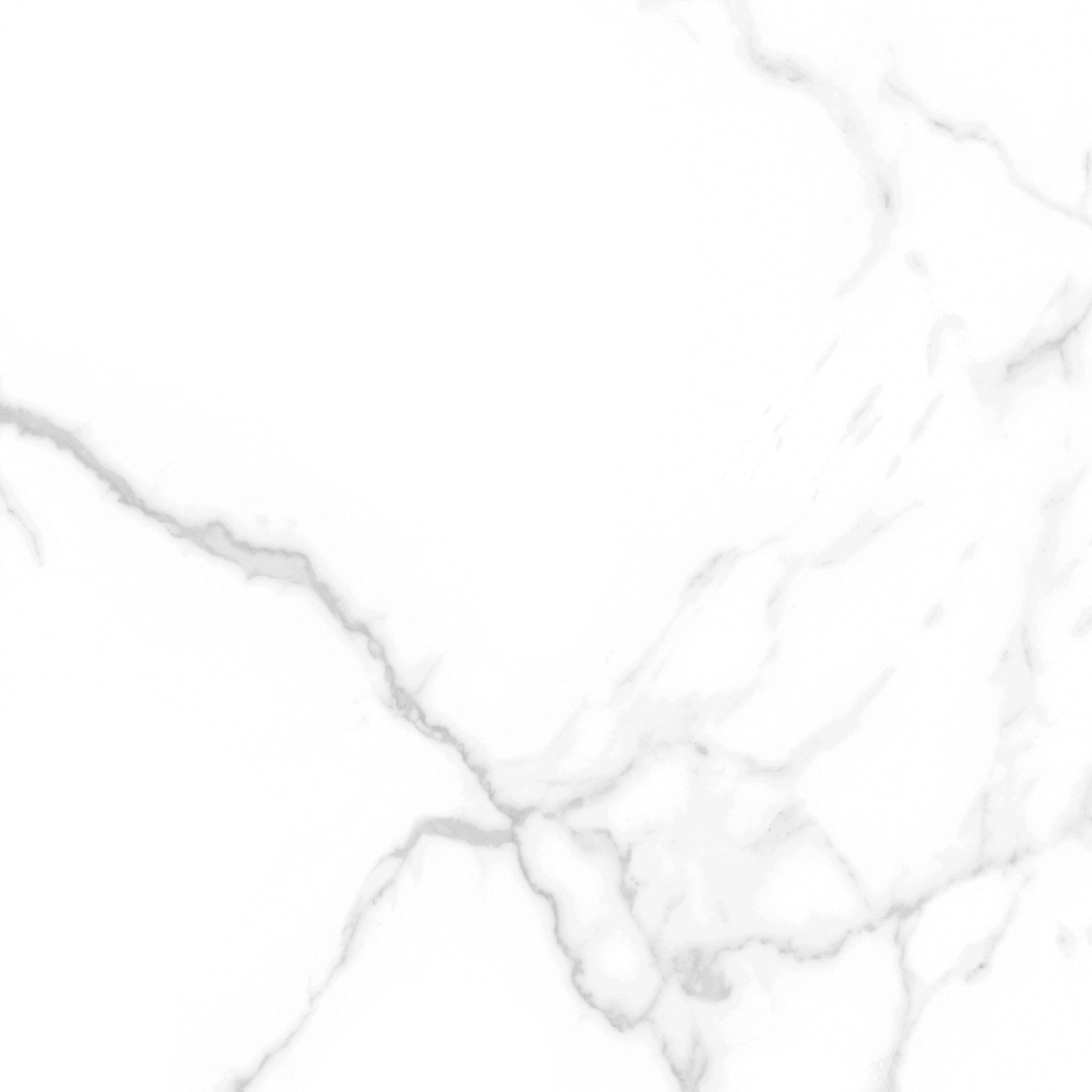 Gạch Taicera CARRARA Series 60X60CM G68945 - Ảnh 6