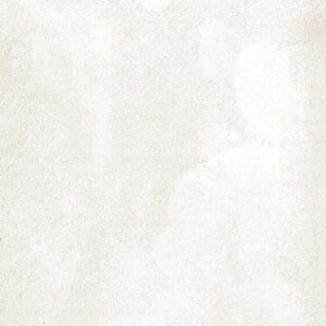 Gạch Taicera BRUSH Series GC600x299-822