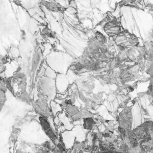 Gạch CHAMPION Grand - MA241209009