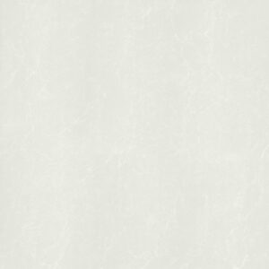 Gạch Taicera IMPERIAL Series 60X60CM P67762N