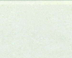 Gạch Taicera STEP TILE - SKIRTING TILE Series 100X12CM PT1000x120-702N