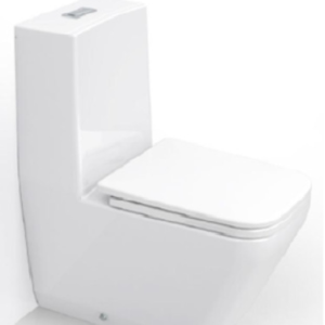 Bồn cầu 1 khối, xả nhấn RIGEL - R-WO7100F-U