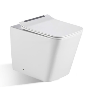 Bồn cầu đặt sàn Rivington (chưa bao gồm két nước âm tường) - RVT-3103-FST