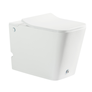 Bồn cầu đặt sàn không két nước RIVINGTON - RVT-370-FM