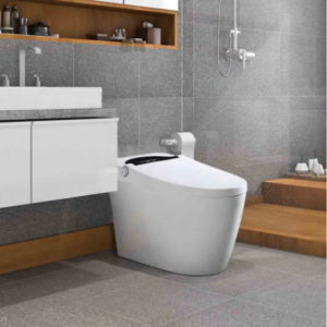 Bồn cầu thông minh, nắp tự động - RVT-66ST