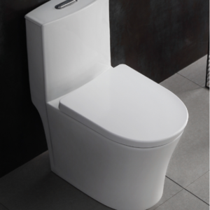 Bồn cầu 1 khối Rivington, nắp đóng êm - RVT3151