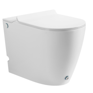 Bồn cầu đặt sàn không két nước, RIVINGTON - RVT-376-FM