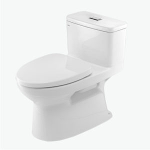 Bồn cầu 1 khối INAX AC-969VN