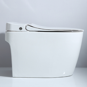 Bồn cầu một khối - TC-8268Y