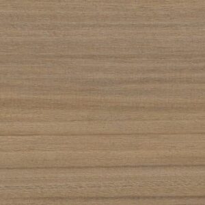 GẠCH GIẢ GỖ - VÂN GỖ CHAMPION Iforest III - TF25012Y