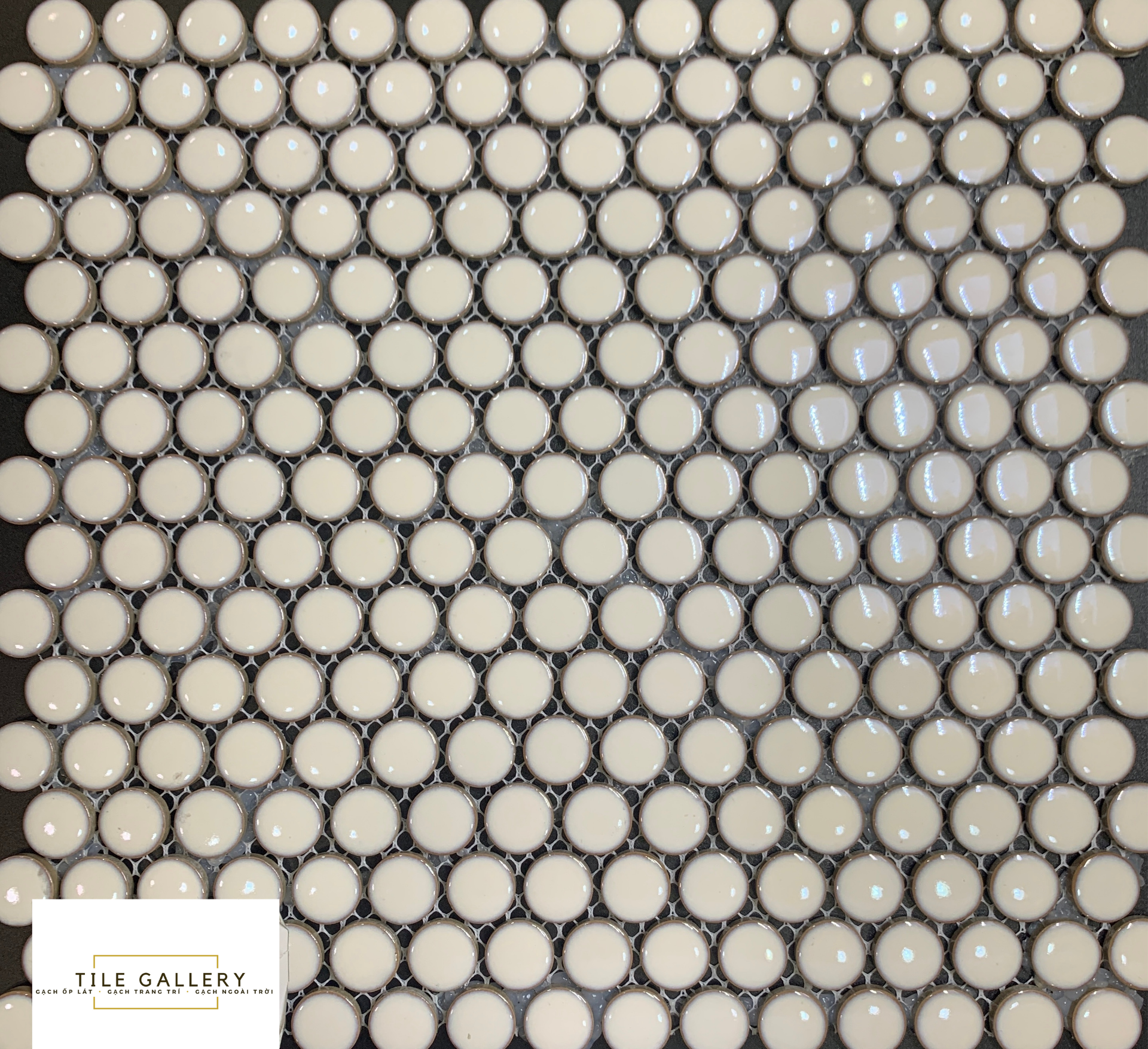 GẠCH MOSAIC SNL 30X30CM