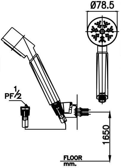 DÂY TAY SEN COTTO - Z79(HM) - Ảnh 2
