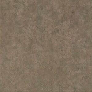 GẠCH ỐP LÁT - ZF6256