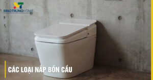 Các loại nắp bồn cầu: Phân tích, hướng dẫn chọn mua chuẩn