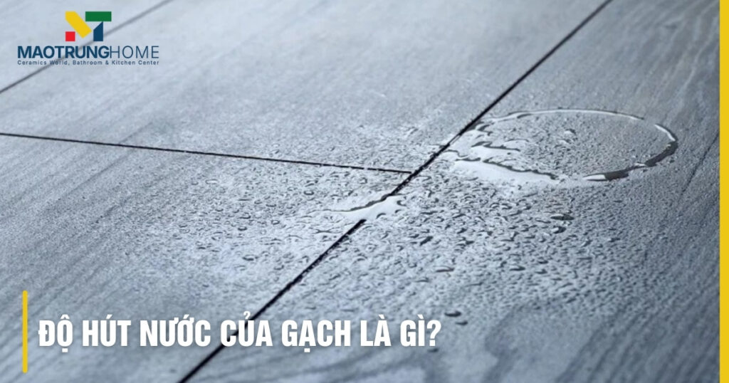 Độ hút nước của gạch: Hiểu, Phân loại & Chọn gạch chuẩn