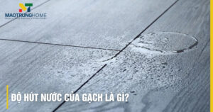 Độ hút nước của gạch: Hiểu, Phân loại & Chọn gạch chuẩn