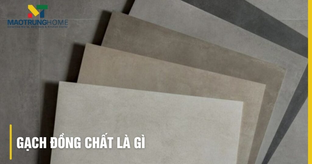 Gạch đồng chất là gì: Giải mã độ bền, cách chọn chuẩn