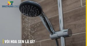 Vòi hoa sen là gì? Tìm hiểu cấu tạo, các loại, lợi ích A-Z