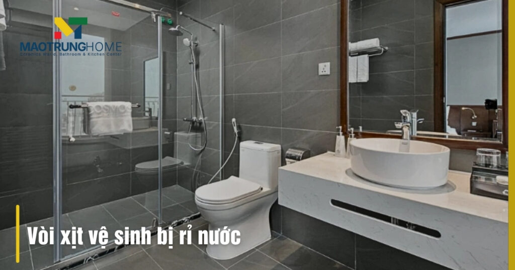 Vòi xịt vệ sinh bị rỉ nước