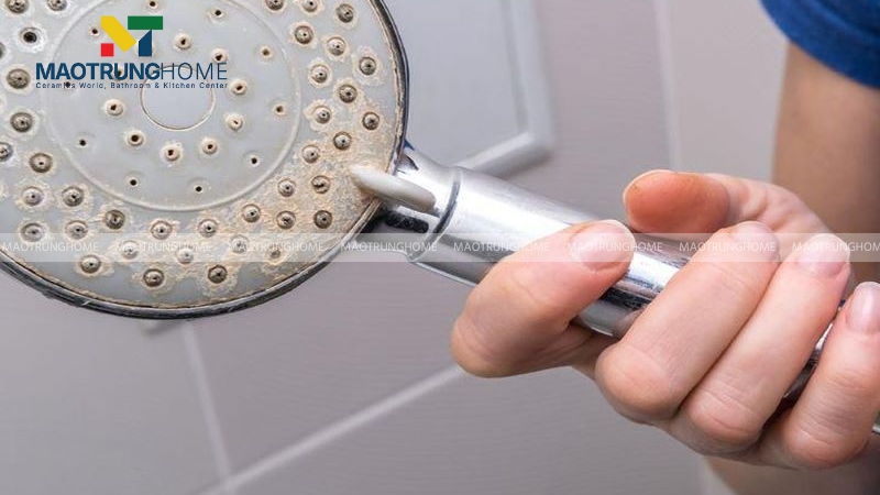 Nên lau chùi nhẹ hàng tuần