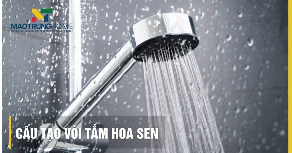 Cấu tạo vòi tắm hoa sen