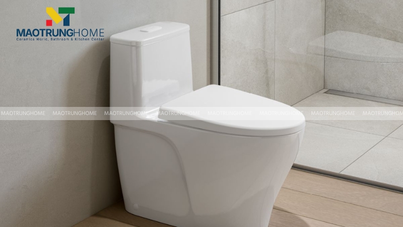 Bồn cầu INAX Aqua Ceramic