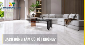 Gạch Đồng Tâm Có Tốt Không: Đánh giá chi tiết A-Z Mao Trung Home