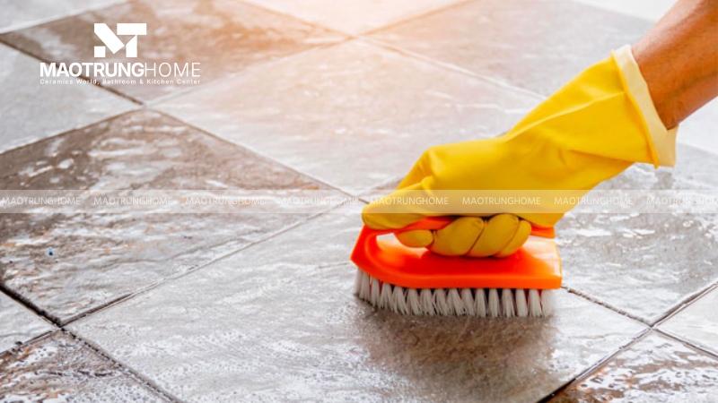 Làm sạch vết rêu mốc trên tường gạch