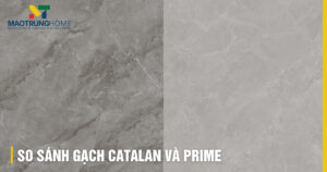 So sánh Gạch Catalan và Prime: Chi tiết A-Z, nên chọn loại nào?