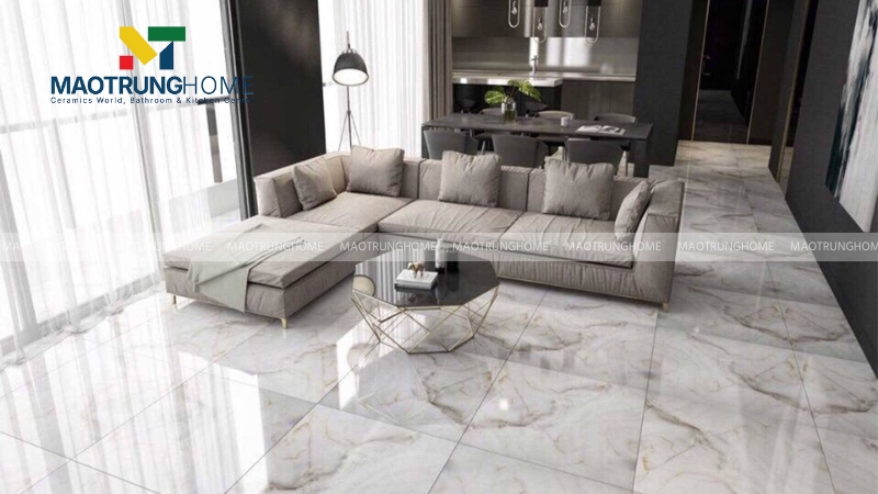 Khu vực đề cao tính thẩm mỹ như phòng khách nên chọn gạch Porcelain