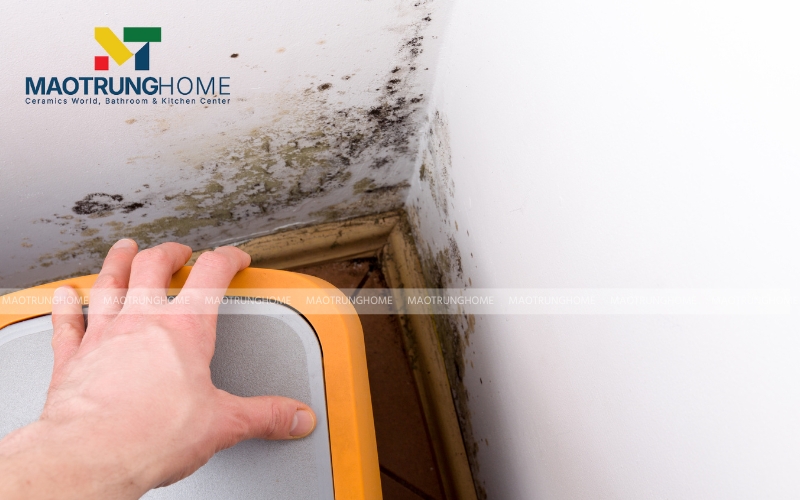 Tường bị ẩm là nguyên nhân làm gạch bong ra