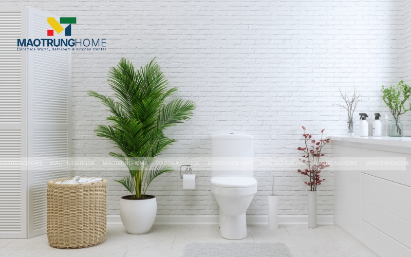 Chọn các loại cây ưa bóng râm, có khả năng thanh lọc không khí để trong nhà vệ sinh