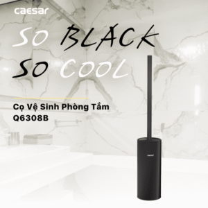 Cọ vệ sinh bồn cầu Q6308B