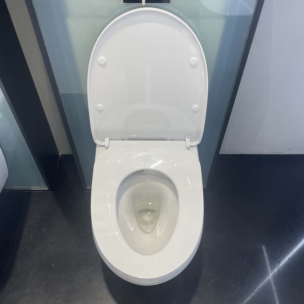 Thân bồn cầu treo tường Euro Ceramic GROHE 100999SH00 - Ảnh 8