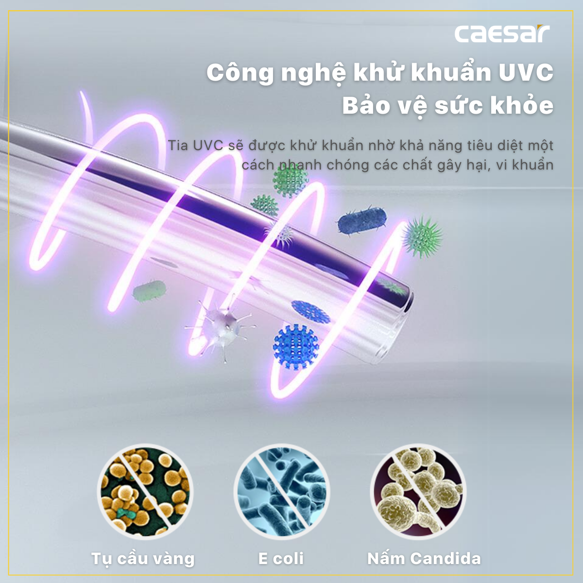 Bồn cầu một khối kết hợp nắp điện tử C1356F + TAF512H - Ảnh 11