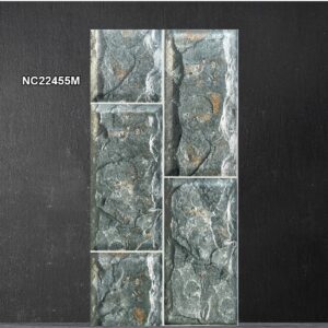 Gạch Thẻ Trang Trí 20x40 Vitaly NC22455M