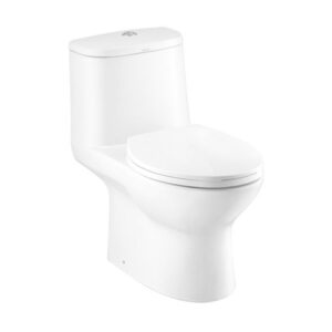 C1053 Bồn cầu COTTO 01 khối MICC