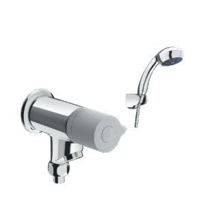 Sen vòi đơn BFV-10-1C