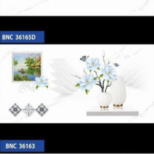 BNC36163