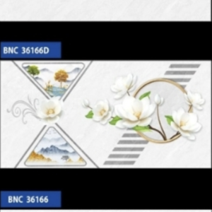 BNC36166