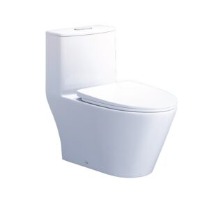 Bồn cầu một khối CD1363