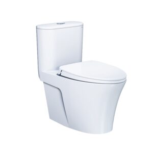 Bồn Cầu Một Khối Nắp Êm - CD1395