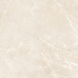 Gạch vân đá Marble CSI612105